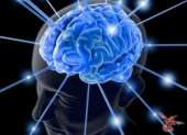 Миф об эффективности мозговых штурмов